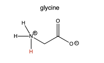 <p>(zwitterion form) </p>