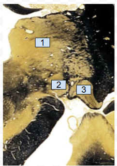 <p>1</p>