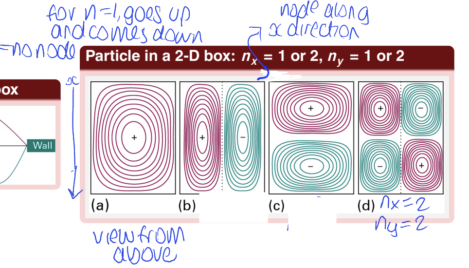<p>for ground state (n<sub>x</sub>=n<sub>y</sub>=1) there is a single positive region </p><p>n<sub>x</sub>=2 and n<sub>y</sub>=1 there is a quantum of excitation in x, there is a vertical nodal line at x=L<sub>x</sub>/2</p><p>n<sub>x</sub>=1 and n<sub>y</sub>=2 there is a quantum of excitation in the y direction so there is a horizontal nodal line at y=L<sub>y</sub>/2</p><p>for n<sub>x</sub>=n<sub>y</sub>=2 there are nodes in both directions which creates a pattern of 4 lobes with alternating signs </p>