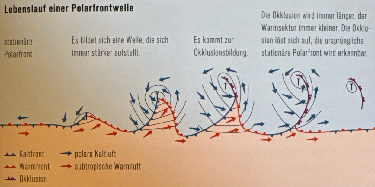 <p>Die Winde werden verstärkt gegen den Uhrzeigersinn abgelenkt. An der Ostseite gleitet die warme, leichtere Luft auf die Kaltluft und steigt auf (Warmfront). Im Westen hingegen drängt sich die aus Nordwesten vordringende kalte, schwere Luft unter die Warmluft und hebt diese vom Boden ab (Kaltfront).</p>