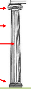 <p>popiš části sloupu a rodíly </p>
