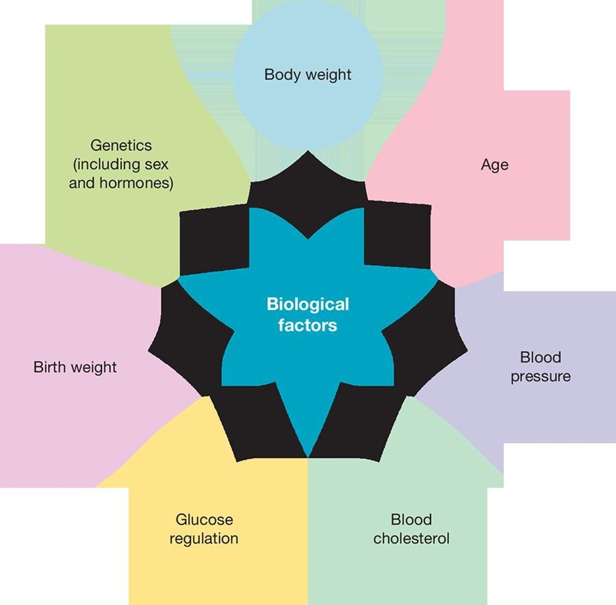 <p>brain injury, chemical imbalances</p>