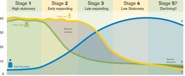 <p>Stage 1: high birth rate and high death rate, NIR is close to zero, pre-industrial and least developed</p><p>Stage 2: high birth rate, declining death rate (modern medicine, sanitation, vaccinations, and improved nutrition), NIR is very high (Niger, Democratic Republic of the Congo, Somalia)</p><p>Stage 3: birth rate goes down, death rate remains low, population continues to grow slower, women gain education and access to contraception, costs of living rise, reduced child labour, increased family planning</p><p>Stage 4: low birth rate, low death rate, strong contraceptive use, high female education, expensive childcare, NIR is close to zero, the wealthy and urbanized world</p><p>Stage 5: both very low, CBR may drop below CDR, extremely low fertility rates and aging populations, promote pro-natalist policies, incentivize childbirth</p>