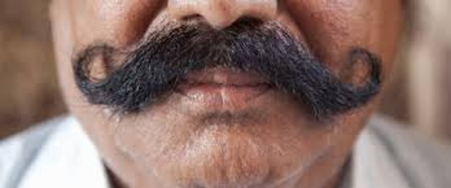 <p>(descriptive English) ria mép rũ xuống Ví dụ: My grandfather had a droopy moustache.</p>