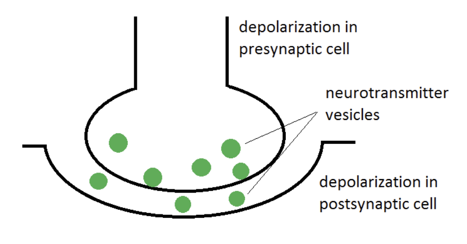 <p>What is VERY wrong with this picture?</p>
