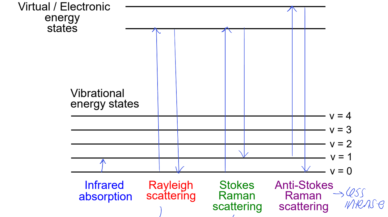 <p>what is Rayleigh scattering? why does Stokes Raman scattering not come all the way back to ground state?</p>