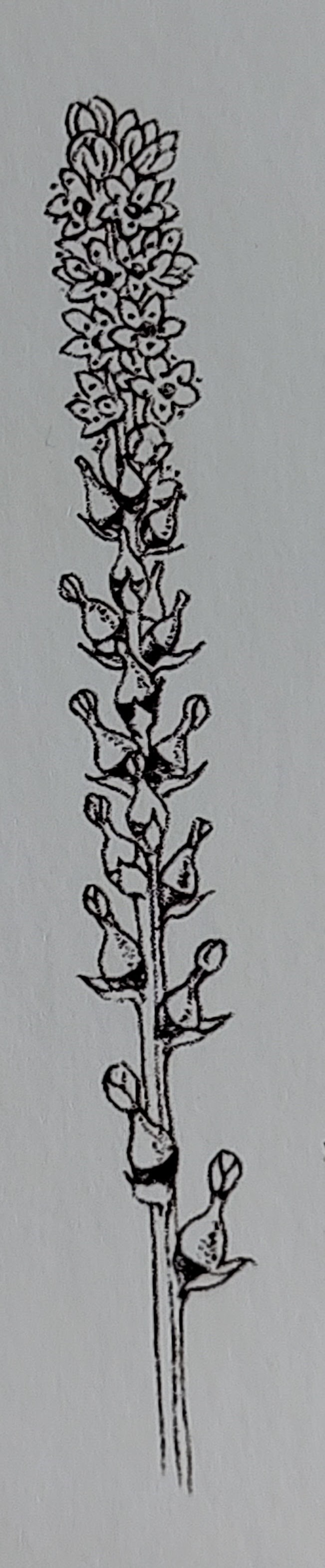 <p></p>