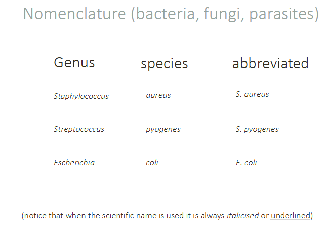<p>Nomenclature (bacteria, fungi, parasites)</p>