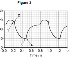 <p>Figure 3 shows the volume changes in the left ventricle of a human heart during two cardiac cycles. </p><p>Use the diagram to calculate the volume of blood pumped per minute by the left ventricle. (2) </p>