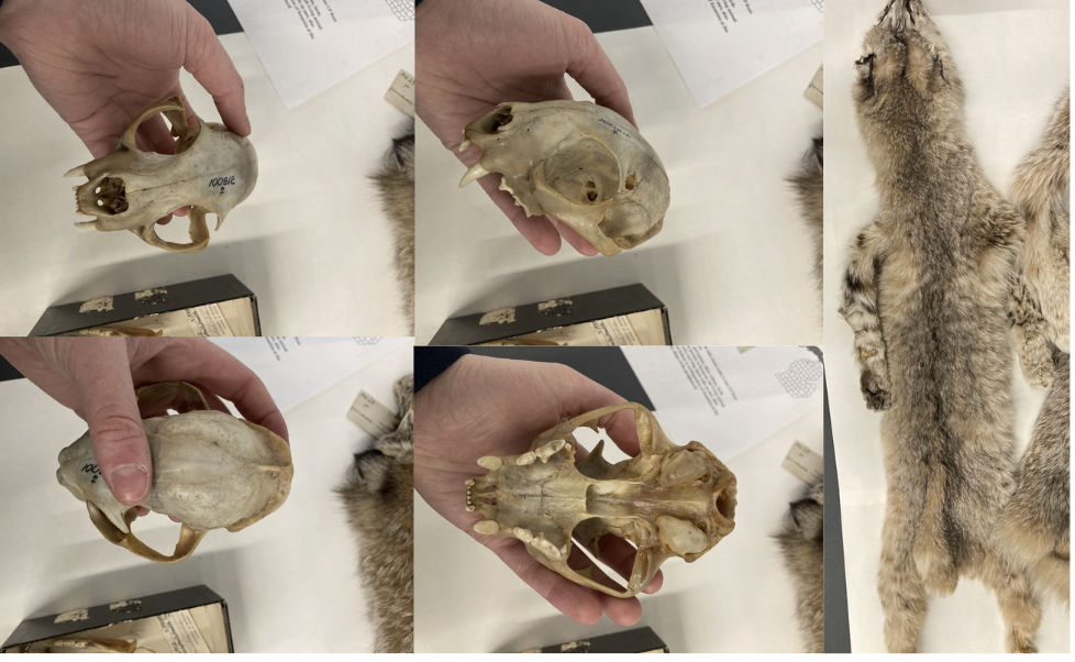 <p>What is this?</p>