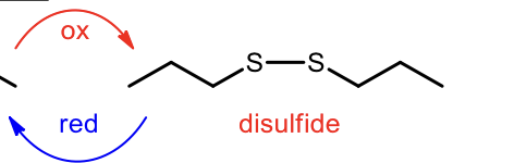 <p>Oxidation of Thiols to form Disulfude</p>