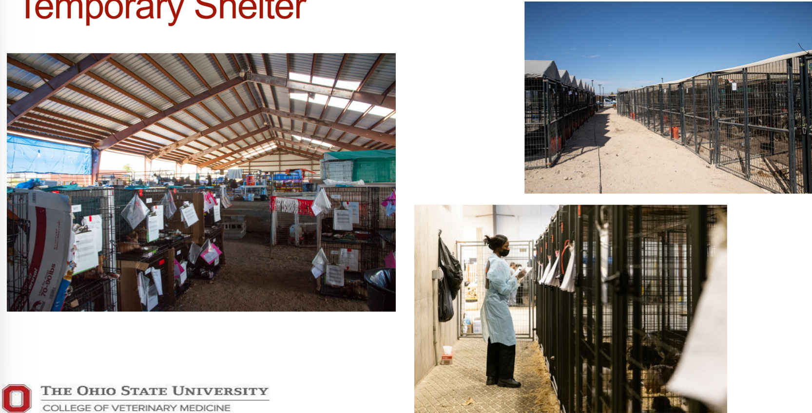 <ul><li><p>is electricity &amp; water available? </p></li><li><p>how close is it to a human shelter (co-location)?</p></li><li><p>how many ani &amp; which species will we have?</p></li><li><p>parking?</p></li></ul><p><em>note: county fairgrounds &amp; empty warehouses are great for large shelters, tents for small shelters</em></p><p>.</p><p>general pop, ani w/ infectious dis, maternity, ani needing critical care, quiet area for anxious animals</p>