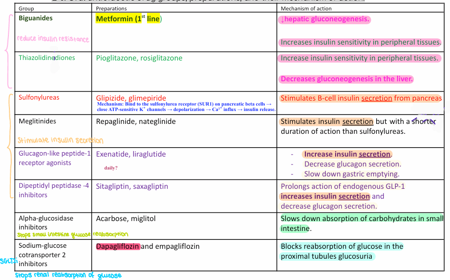 <ul><li><p><strong>Biguanides:</strong> <mark data-color="purple" style="background-color: purple; color: inherit;">metformin </mark>→ ↓ hepatic gluconeogenesis + ↑ insulin sensitivity; <strong>1st line</strong>.</p></li><li><p><strong>Thiazolidinediones:</strong> <mark data-color="purple" style="background-color: purple; color: inherit;">pioglitazone</mark>, rosiglitazone → ↑ peripheral insulin sensitivity, ↓ hepatic gluconeogenesis.</p></li><li><p><strong>Sulfonylureas:</strong> <mark data-color="blue" style="background-color: blue; color: inherit;">glipizide</mark>, glimepiride → ↑ β-cell insulin secretion via SUR1/KATP closure; hypoglycemia risk.</p></li><li><p><strong>Meglitinides:</strong> <mark data-color="blue" style="background-color: blue; color: inherit;">repaglinide</mark>, nateglinide → ↑ insulin secretion, shorter acting than sulfonylureas.</p></li><li><p><strong>GLP-1 agonists:</strong> <mark data-color="blue" style="background-color: blue; color: inherit;">exenatide</mark>, liraglutide/semaglutide → ↑ insulin, ↓ glucagon, slow gastric emptying.</p></li><li><p><strong>DPP-4 inhibitors:</strong> <mark data-color="blue" style="background-color: blue; color: inherit;">sitagliptin</mark>, saxagliptin → prolong GLP-1 → ↑ insulin, ↓ glucagon.</p></li><li><p><strong>α-glucosidase inhibitors:</strong> <mark data-color="yellow" style="background-color: yellow; color: inherit;">acarbose</mark>, miglitol → ↓ intestinal carbohydrate absorption.</p></li><li><p><strong>SGLT2 inhibitors:</strong> <mark data-color="green" style="background-color: green; color: inherit;">dapagliflozin</mark>, empagliflozin → ↓ renal glucose reabsorption → glucosuria.</p></li></ul><p></p>