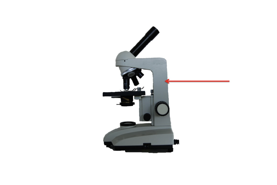 <p><span>Identify the microscope part at the red arrow</span></p>