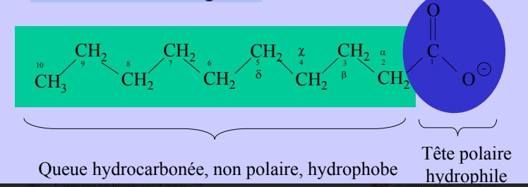 <p>unités de base des lipides de formule générale R - COOH.</p><p>R = hydrocarbure donne le caractère "gras".</p><p></p>