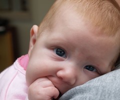 <p>Wise man - when two women were fighting over custody of a baby, he suggested that the baby be cut in half. One woman said, "okay" the other did not want to hurt the baby. This is how he determined that the woman who did not want to harm the baby would be a better mother and she got custody. Son of David and some of the psalms are attributed to him</p>