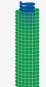 <p><span style="font-family: "Times New Roman", serif;">Name the type of capsid that certain viruses have based on the structure:</span></p>
