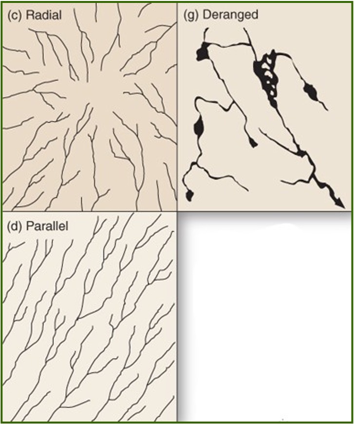 <p>Radial: a drainage pattern where streams flow outward in all directions from a central high point. </p><p>Deranged: pattern with irregular streams and many lakes or swamps, usually found in areas recently affected by glaciers. </p><p>Parallel: pattern where streams flow in the same direction and reamin roughly parallel. </p>