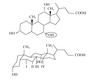 <p>The structure of cholic acid is shown below in 2 different views. The circled hydroxyl group in the top figure would be located at which position in the bottom figure?</p><p><strong>A</strong></p><p>I</p><p><strong>B</strong></p><p>II</p><p><strong>C</strong></p><p>III</p><p><strong>D</strong></p><p>IV</p>