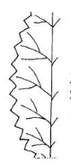 <p>margin?</p>