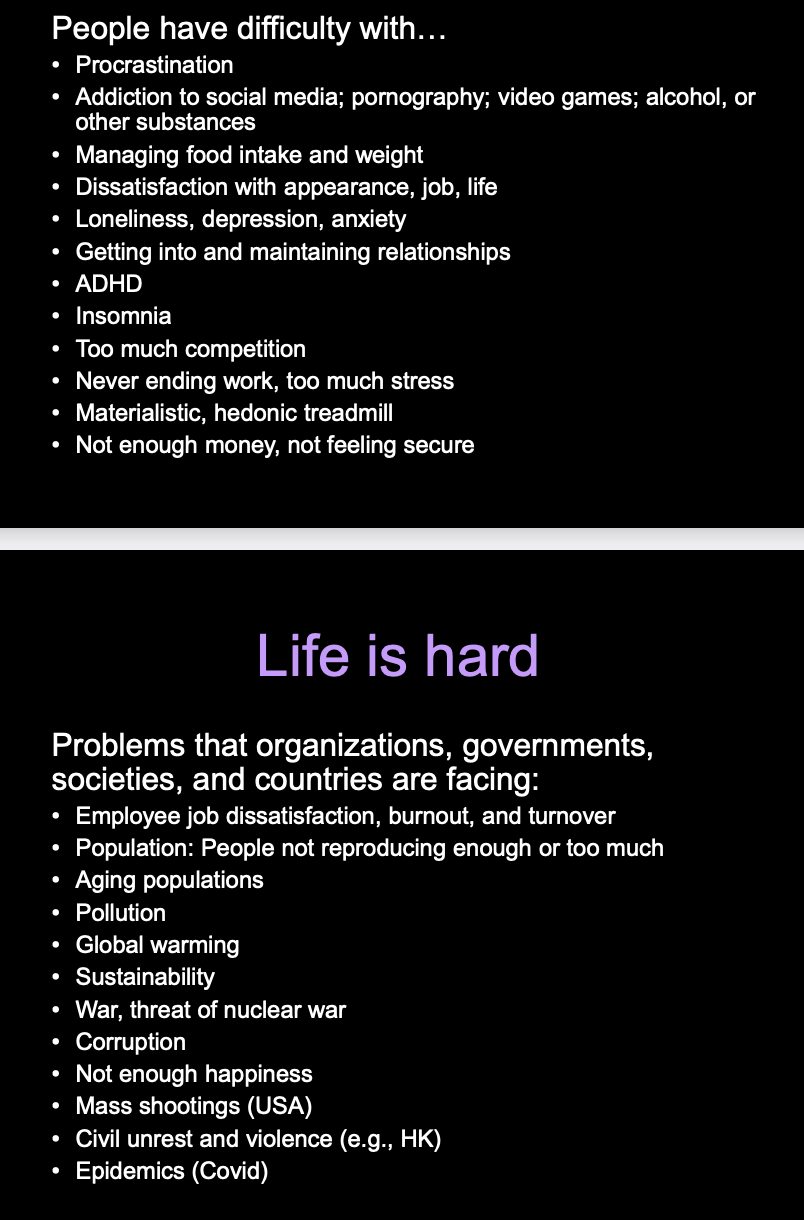 <p><strong>Recurring</strong> difficulties and life problems (ranging from individual level to organisational, governmental and societal)</p>