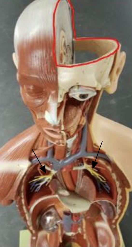 <p>What are the main parts of this system? </p>