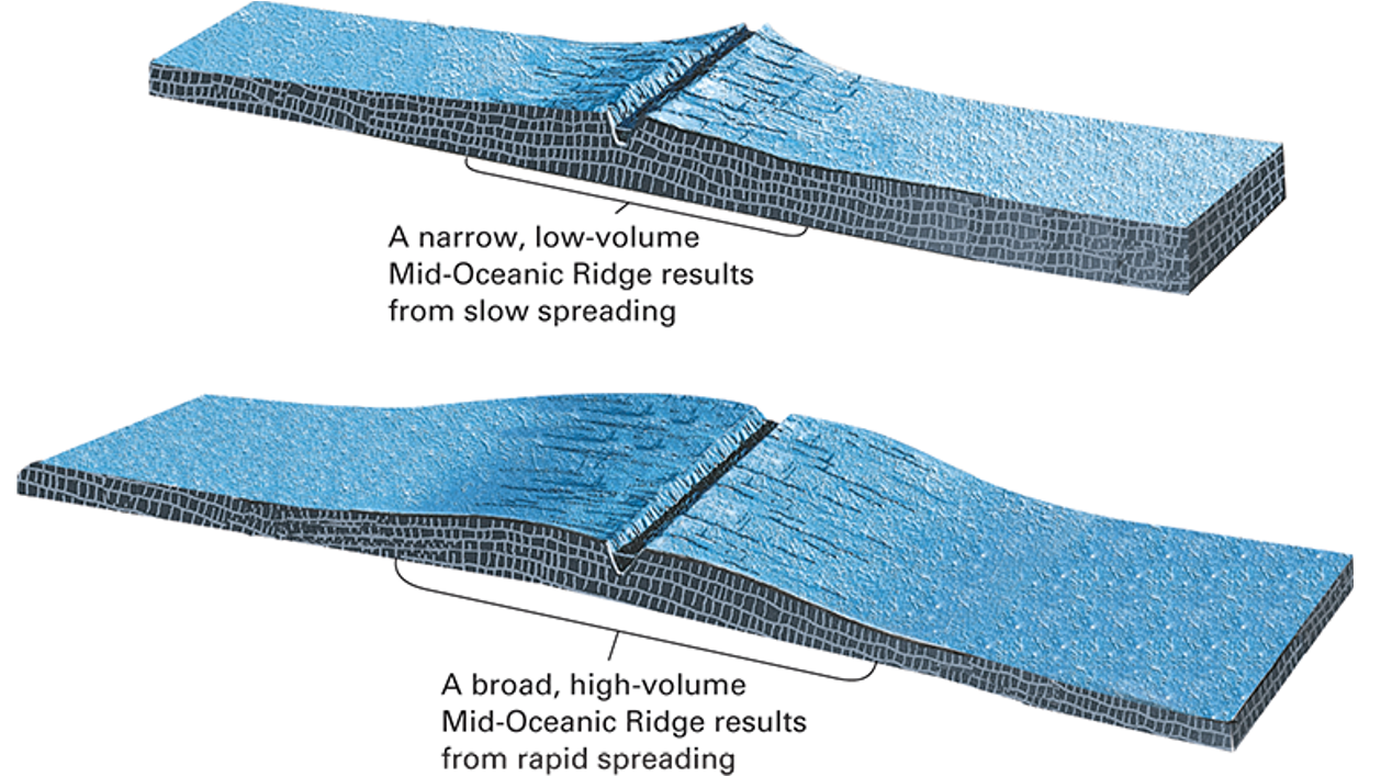 <p>what is happening in this picture?</p>