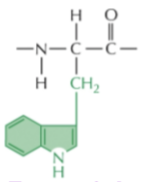 <p>Nonpolar</p><ul><li><p>essential amino acid</p></li></ul><p></p>