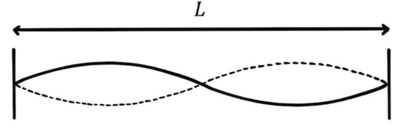 <p>Note: Each image shows one ‘L’</p>