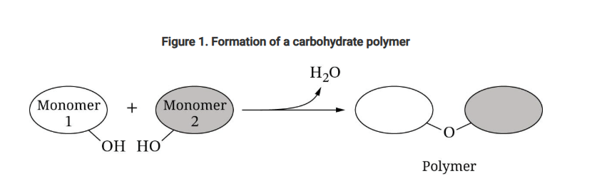 <p>Figure 1 shows the formation of a carbohydrate polymer.</p><p>Which of the following best describes how the carbohydrate polymer is being built in Figure 1?</p><p>A) A water molecule is added to form a hydrogen bond between two monomers.</p><p>B) A water molecule is added to form a covalent bond between two monomers</p><p>C) A water molecule is removed to form a hydrogen bond between two monomers.</p><p>D) A water molecule is removed to form a covalent bond between two monomers.</p>