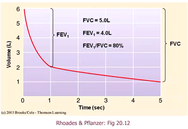 <ul><li><p>breathe all the ay in, and breathe all the air out as quickly as you can</p></li><li><p>measure what percentage of the air you exhaled in the first second</p></li><li><p>set up a FEV1/FVC ratio</p></li><li><p>FEV1 = how much you breathe out in the first second</p></li><li><p>FVC = total amount breathed out</p></li><li><p>80% is normal</p></li><li><p>if there’s something wrong, there is an issue with the airways rather than the lungs as it is an issue with airflow</p></li></ul><p></p>