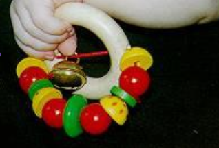<p>when does this reflex occur? - grasp</p>