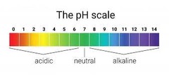 <p>7- Equal concentration of hydrogen ions [H+] and hydroxide ions [OH-]</p>