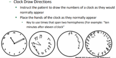 <p>Test pt's executive function, ability to plan, manage time, organize activities, manage working memory</p>