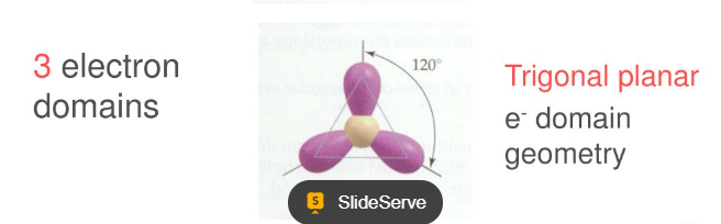 <p>trigonal planar</p>