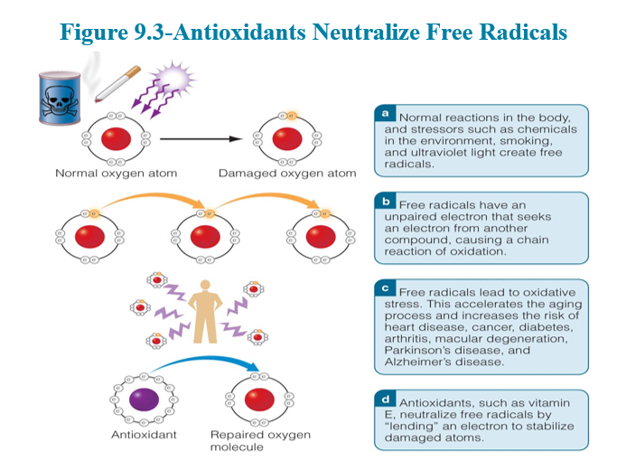 <p>What are Antioxidants/<strong>Free radicals</strong>?</p>