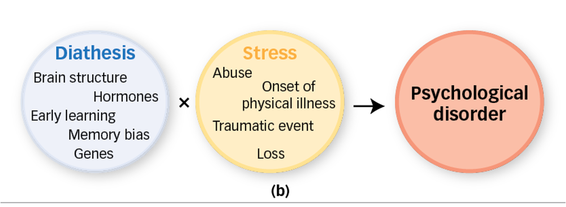 <p><span>person may be predisposed to a mental disorder that remains unexpressed until triggered by stress</span></p>