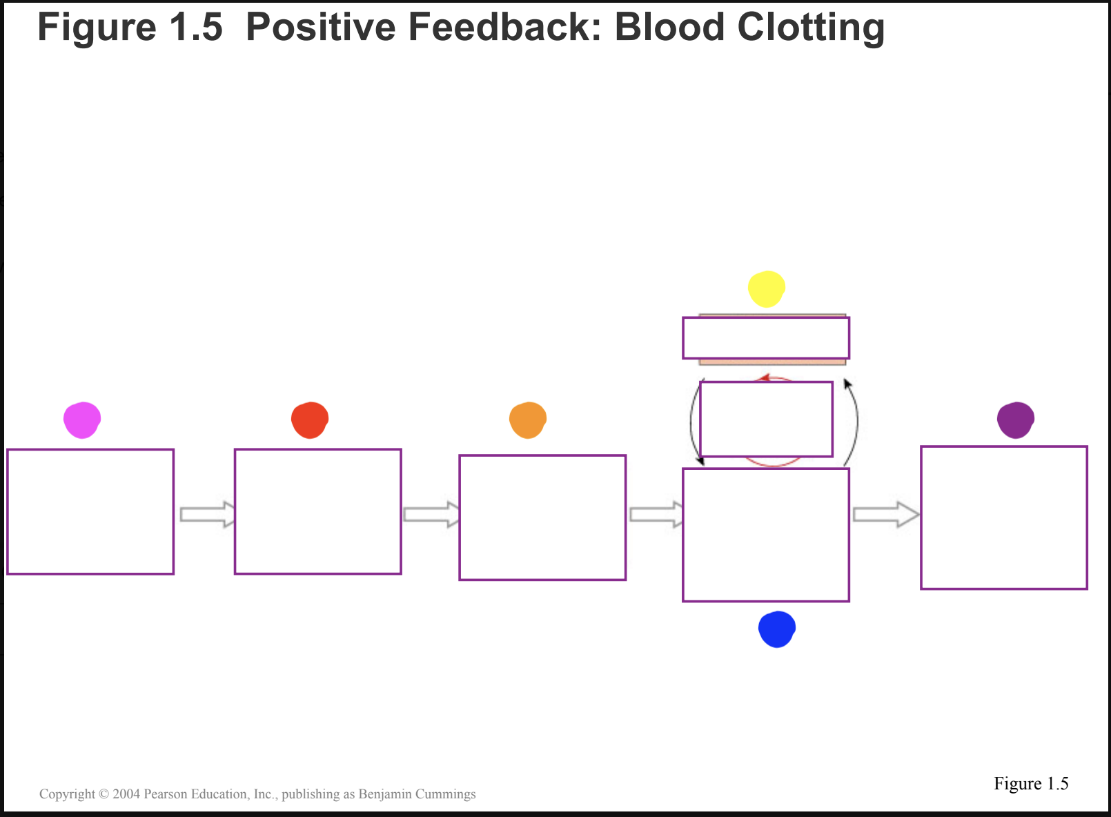 <p>What does the red dot represent?</p>