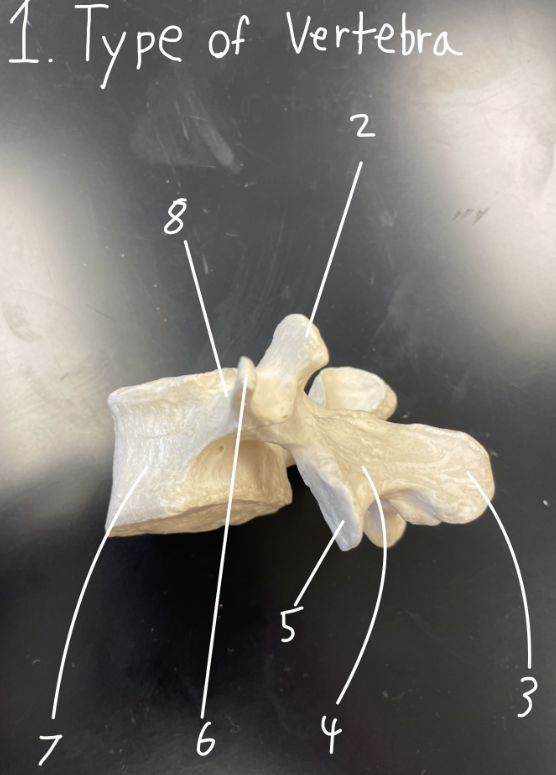 <p>1</p>