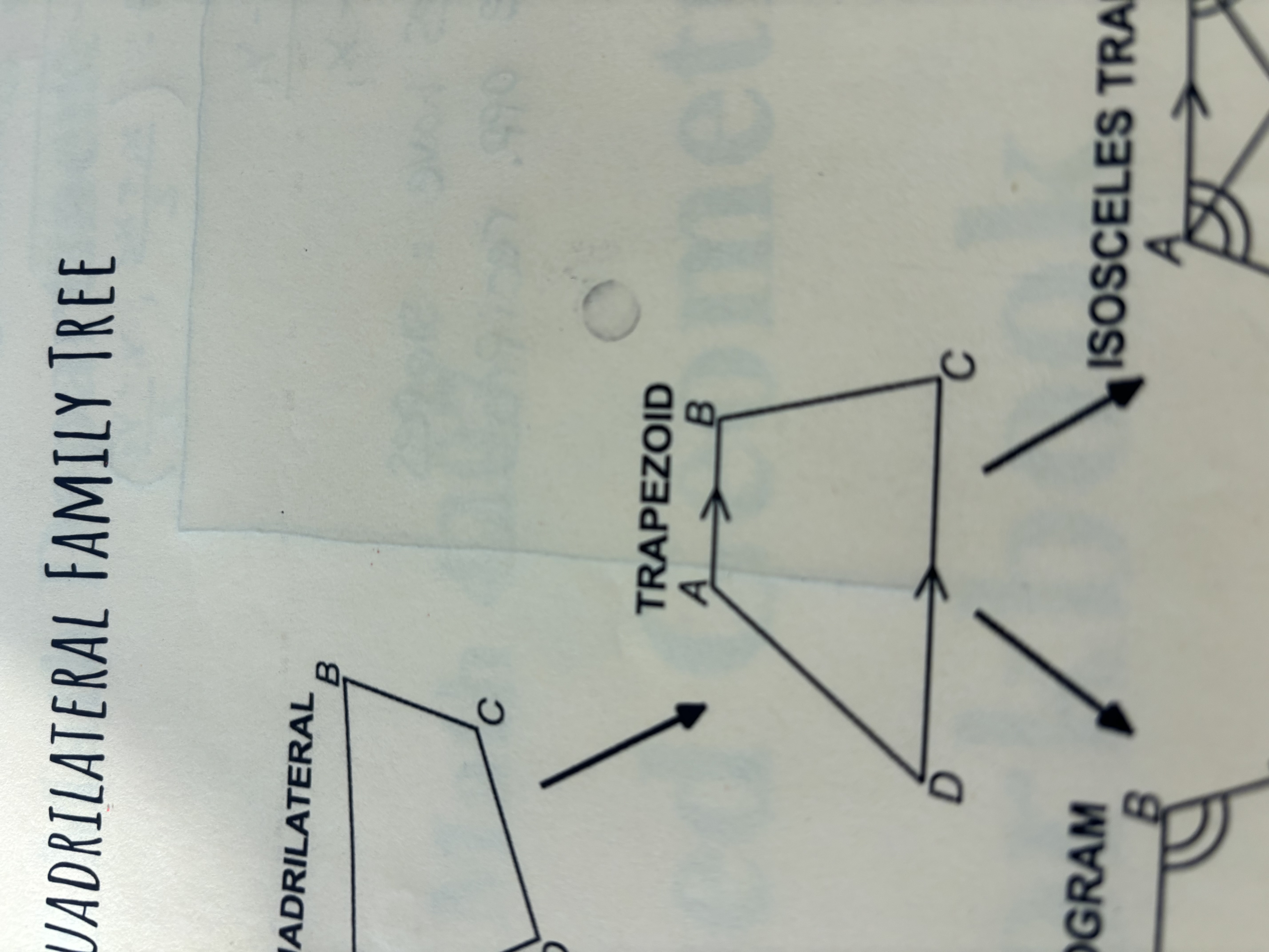 <p>Trapezoid</p>