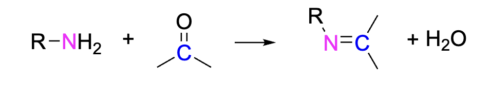 <p>Imines can be formed when an aldehyde or ketone is reacted with a primary amine (-NH2). The Nitrogen attaches to the oxygen in the carbonyl group and the hydrogens leave.  </p><p>Reagents: Primary amine + Carboxyl group</p>