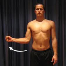 <p>rotation of a bone away from the body's midline</p>