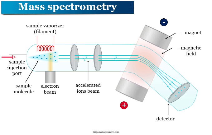 <p>Mass Spectrometry</p>