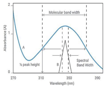 <p>related to the physical slit width of the monochromator design</p><ul><li><p>for most mid-range UV-Vis spectrophotometers, fixed SBW of 1.5 nm is common/sufficient for resolving peaks of most liquid/solid samples</p></li><li><p>Using larger SBW allows more light through the sample</p><ul><li><p>can give better quality data and less noise</p></li><li><p>will not resolve narrow or close together peaks</p></li></ul></li><li><p>Using smaller SBW allows less light through the sample</p><ul><li><p>provides better resolving power</p></li><li><p>can result in increased data collection times to achieve the same data quality</p></li></ul></li></ul><p></p>