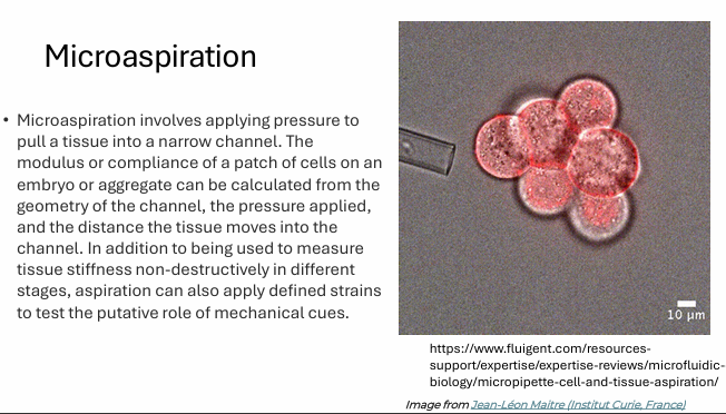 <p>Microaspiration involves applying pressure to pull a tissue into a narrow channel. The modulus or compliance of cells on an embryo or compliance of a patch of cells on an embryo or aggregate can be calculated from the geometry of the channel, the pressure applied, and the distance the tissue moves into the channel.</p>