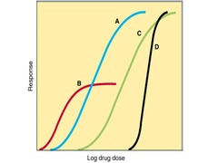 <p>It quantifies a drug's response relative to the amount of drug given, showing the relationship between drug concentration and effect.</p>