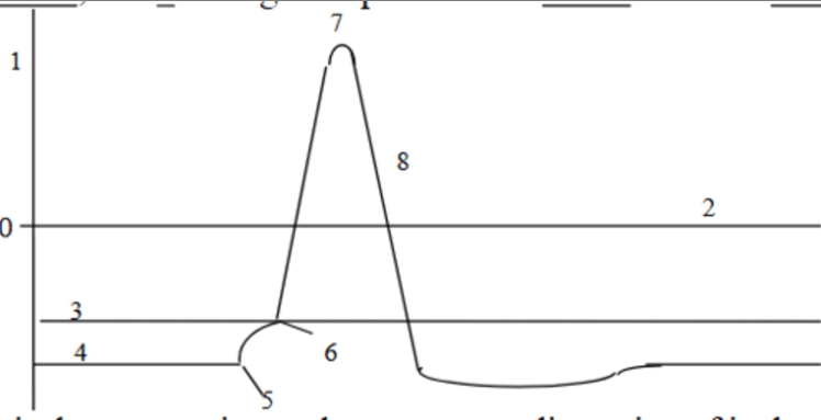 <p>Peak Potential of Neuron</p>