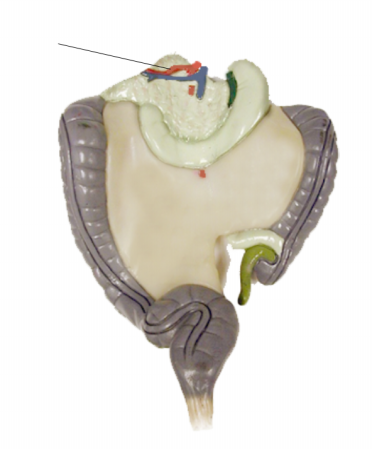<p>Name the structure</p>