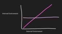 <p>Regulators:</p><p>Maintain their internal environment independently of the external environment</p><p>Internal environment stays the same as external environment changes</p><p>Regulators = Purple (in graph)</p>