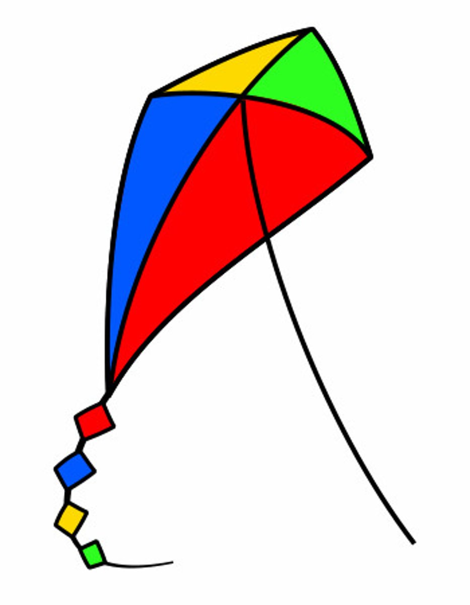 <p>kite</p>